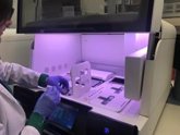 Foto: Investigadores del CIPF y de la Fundación del Hospital GeneralFIHGUV implementan el análisis de ADN tumoral circulante
