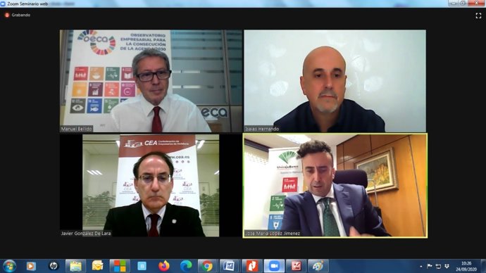 Imagen del encuentro virtual del Observatorio de la CEA, que ha abordado el encuentro del Papa Francisco con jóvenes, titulado 'Economía de Francisco'.