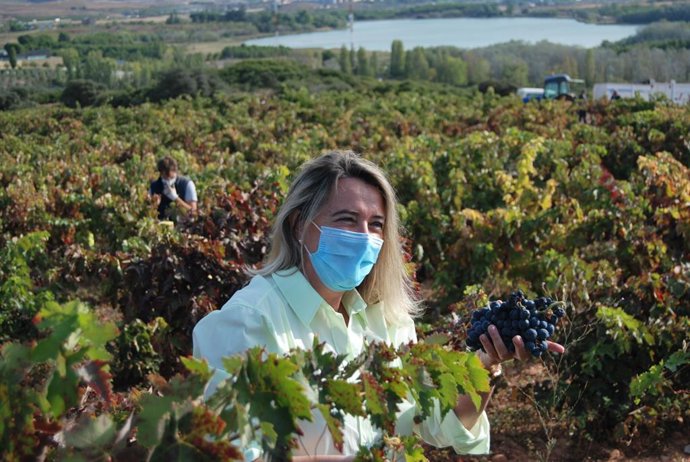 La consejera de Agricultura apela a "no bajar la guardia" en las semanas de vend