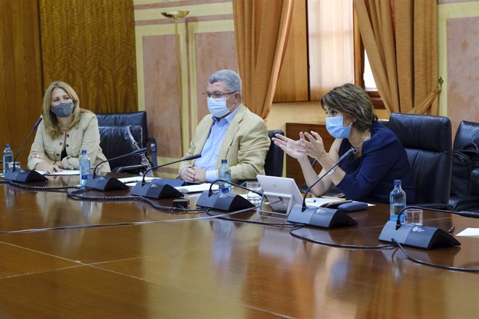 La secretaria general del PSOE-A, Susana Díaz, se reúne con representantes de la Federación Andaluza de Diabéticos en el Parlamento andaluz.