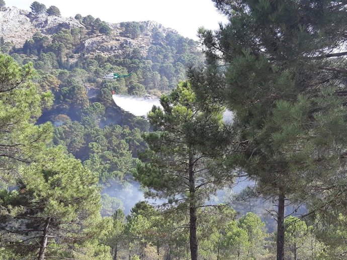 Incendio forestal en el Puerto del Boyar en Grazalema
