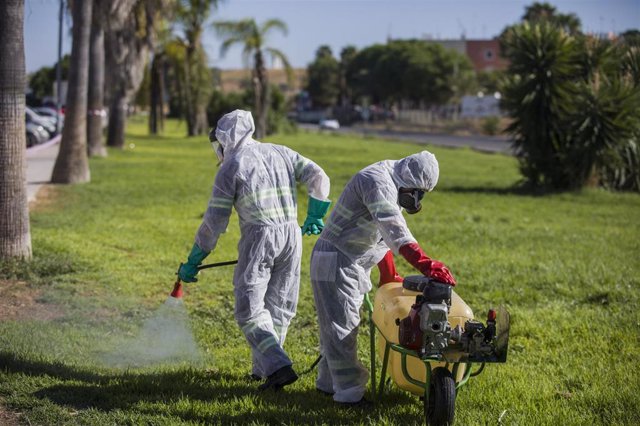 Trabajadores durante las labores de fumigación contra los mosquitos, en Coria del Río.