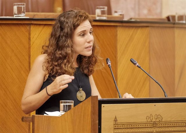 La diputada de Adelante Ana Villaverde defendiendo la iniciativa en la tribuna