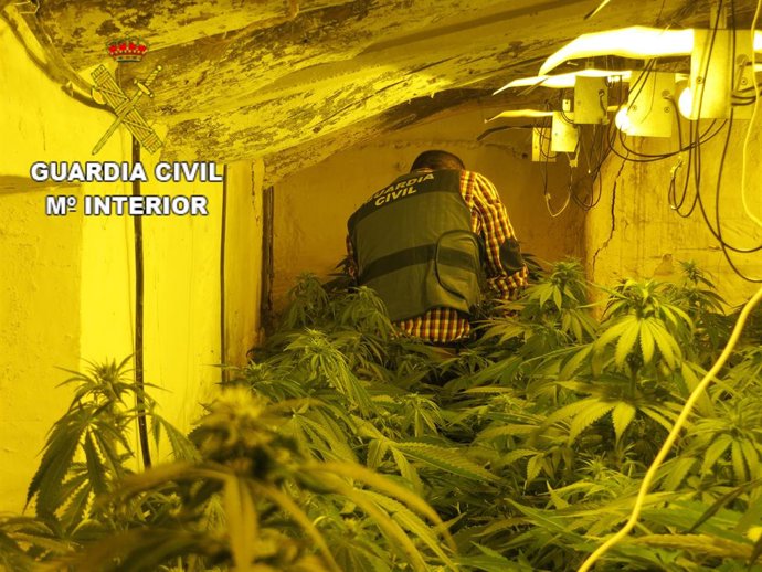 Almería.-Sucesos.-Tres detenidos por cultivar marihuana en la segunda residencia
