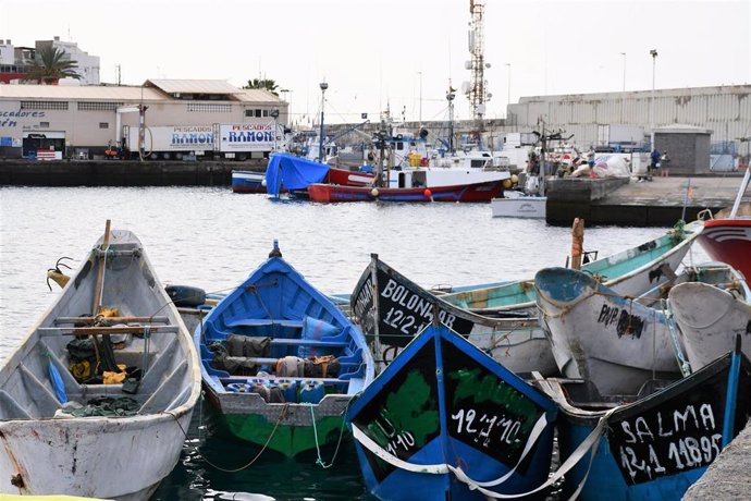 Pateras acumuladas en el Muelle de Arguineguín (Gran Canaria) este 23 de septiembre