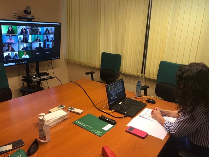 La consejera de Igualdad, Rocío Ruiz, este viernes durante su participación en un webinar con la Fundación Andaluza Accesibilidad y Personas Sordas (FACC).