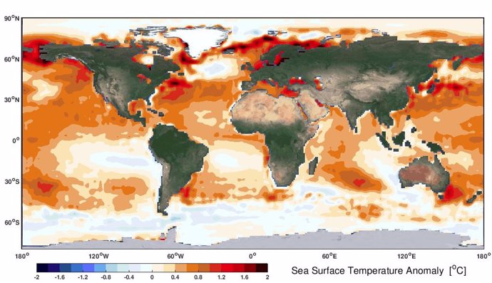 Anomalía de la temperatura de la superficie del mar observacional por satélite durante los últimos cinco años (2015-2019), referencia a los primeros cinco años (1982-1986). El aumento del calentamiento del océano surge sobre las regiones subtropicales.