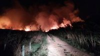Bomberos e Ibanat actúan sobre un segundo fuego en la Albufera de Alcúdia