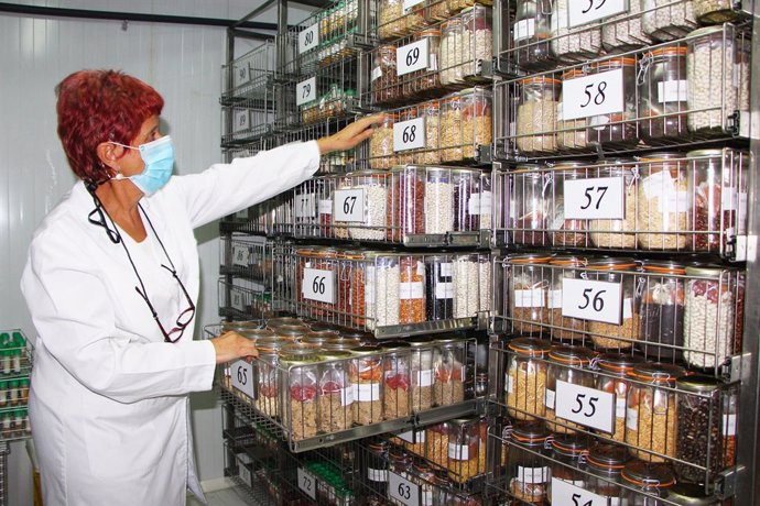 El banco de germoplasma del IMIDA conserva más de 9.000 variedades vegetales com