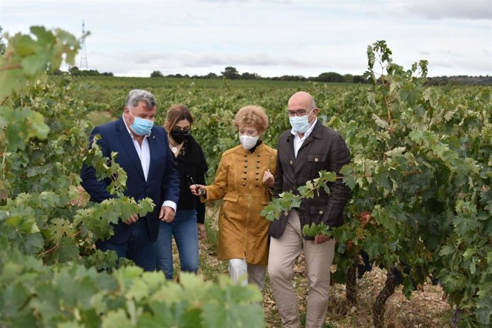 El consejero de Agricultura, Ganadería y Desarrollo Rural, Jesús Julio Carnero, asiste a la vendimia en la bodega Torremilanos, en Aranda de Duero (Burgos).