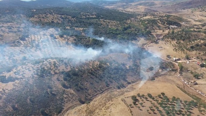 Incendio forestal en Cumbres Mayores
