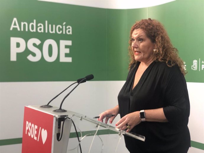 La secretaria de Organización del PSOE de Cádiz y parlamentaria andaluza, Araceli Maese