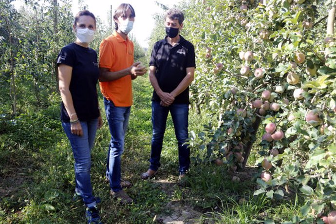 Pla obert on es poden veure els responsables de Vinagres Badia, Cal Valls i Mel i Torrons Alemany, en una finca de pomes, a Vilanova de Bellpuig, el 23 de setembre de 2020. (Horitzontal)