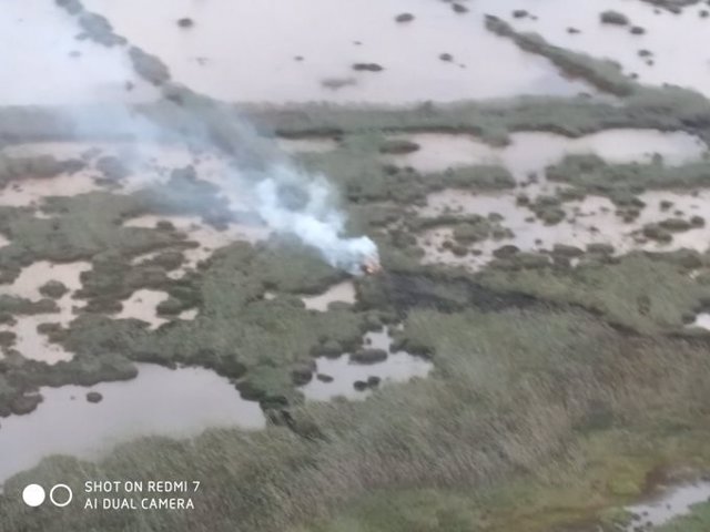 Imagen aérea del incendio forestal de s'Albufera de Alcúdia.
