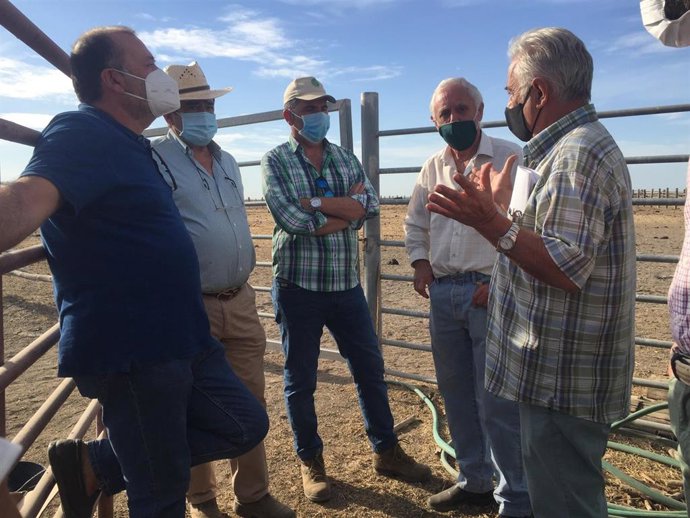 Nota Y Fotos Junta (Saneamiento Ganado Doñana)