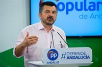 PP-A afea el "gamberrismo político" de PSOE-A por usar la pandemia "contra la Junta en vez de arrimar el hombro"