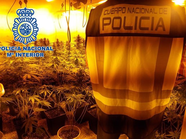 Operación policial contra la marihuana en la zona norte de Granada