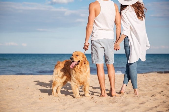 Una pareja pasea a su perro en la playa