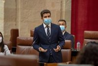 Cs pedirá desde el Parlamento andaluz al Gobierno central que guarde el "debido respeto" al rey Felipe VI