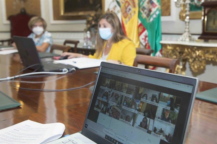 Irene García en la reunión telemática con las diputadas de Igualdad del resto de diputaciones andaluzas