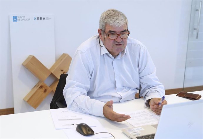 El director de la Axencia Galega da Industria Forestal (XERA), Ignacio Lema, en su intervención en un curso del Colexio Oficial de Enxeñeiros Técnicos Forestais de Galicia (COETEFG).