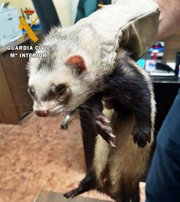 [Cáceres] Rdo. Nota De Prensa