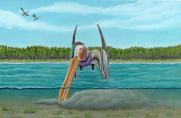 Nuevas pruebas refutan que los pterosaurios tuvieran plumas