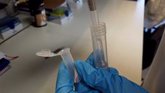 Foto: Investigadores obtienen un prototipo de un test alternativo a las PCR "rápido, barato y de fácil uso"