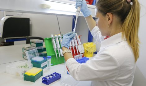 Cooperación y Desarrollo