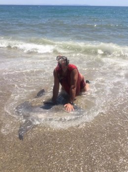 El denunciado aprisiona al pez luna hasta causarle la muerte