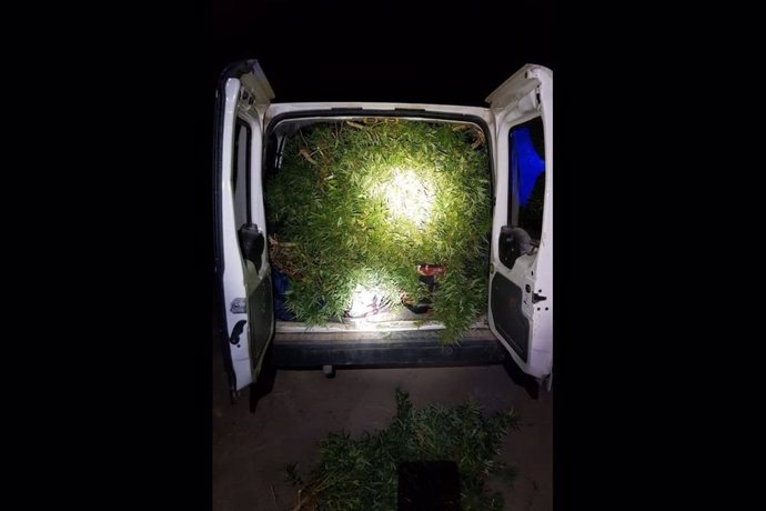 Detenidos tres individuos tras asaltar una plantación terapéutica de marihuana en La Puebla (Cartagena)