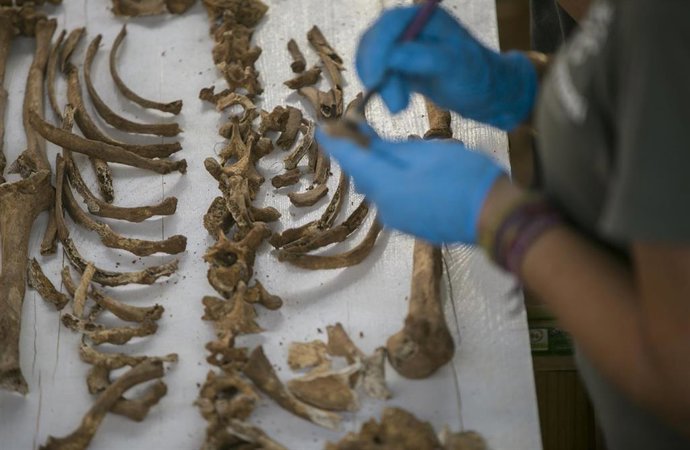 Trabajos de exhumación de la fosa común de Pico Reja, una de las mayores fosas del franquismo, ubicada en el cementerio de San Fernando. En Sevilla (Andalucía, España), a 17 de junio de 2020.