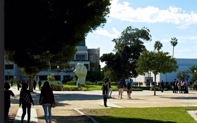 Campus de la Universidad de Alicante (archivo)