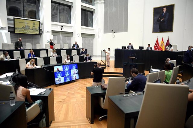 Sesión plenaria en el Palacio de Cibeles, sede del Ayuntamiento de Madrid. En Madrid (España), a 25 de junio de 2020.