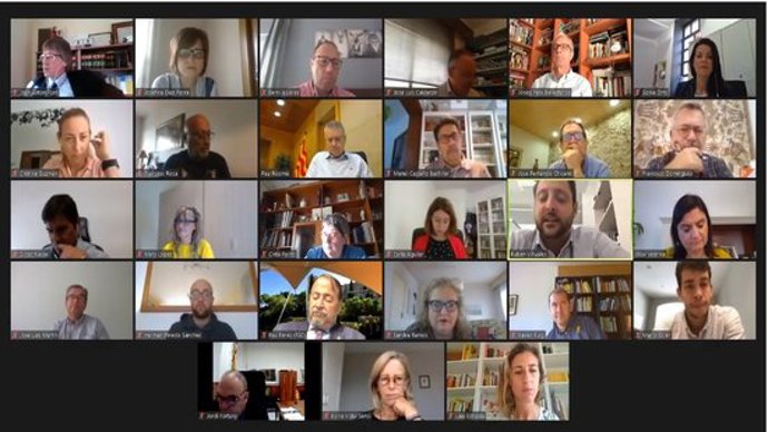 Captura de pantalla del ple telemtic de l'Ajuntament de Tarragona del 29 de setembre del 2020. (Horitzontal)