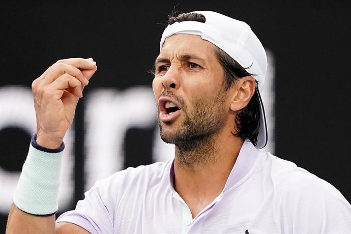 El tenista español Fernando Verdasco