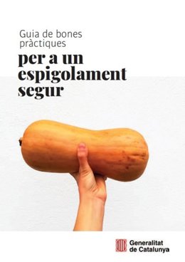 Imatge de la Guia de bones prctiques per a un espigolament segur. (Vertical)