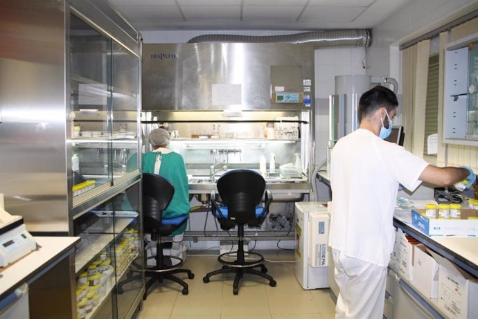 El Hospital de Cuenca culmina el proceso de renovación de la Sala de Procesamiento de Muestras del Servicio de Anatomía Patológica