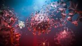 Foto: El coronavirus "muta poco" y "mucho menos" que el virus de la gripe