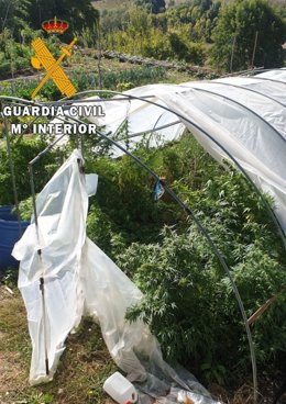 La Guardia Civil interviene 9 kilos de cogollos de marihuana en Osácar-Juslapeña.