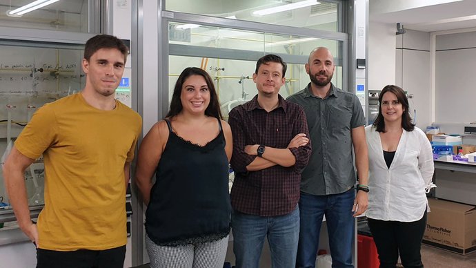 Un equipo del Instituto de Ciencia Molecular (ICMol) de la Universitat de Valncia (UV) ha conseguido sintetizar un nuevo material poroso que permite catalizar la degradación de compuestos análogos a los agentes nerviosos usados en guerra química