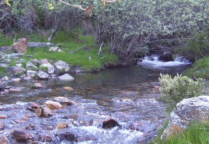 El Río Duerna a su paso por la localidad leonesa de Pobladura de la Sierra.