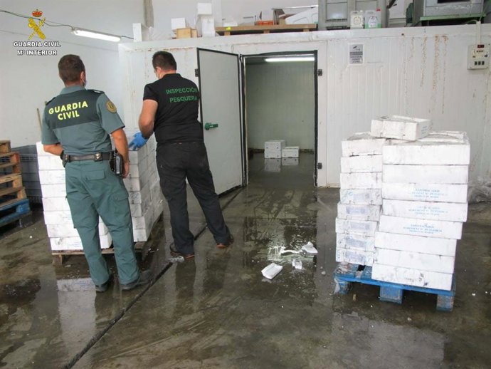 Producto pesquero intervenido en Huelva.