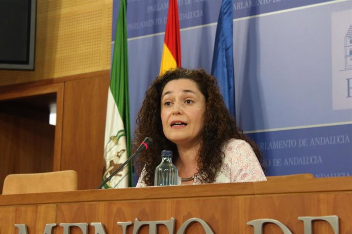 La portavoz del grupo parlamentario Adelante Andalucía, Inmaculada Nieto, en rueda de prensa