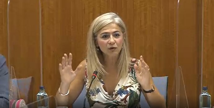 La consejera de Cultura, Patricia del Pozo, en una comisión parlamentaria