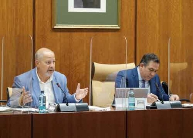 El consejero de Educación, Javier Imbroda, este miércoles durante su comparecencia parlamentaria.