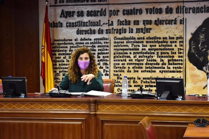 La consellera de Presidencia, Cultura e Igualdad, Pilar Costa, en una comparencia en el Senado.