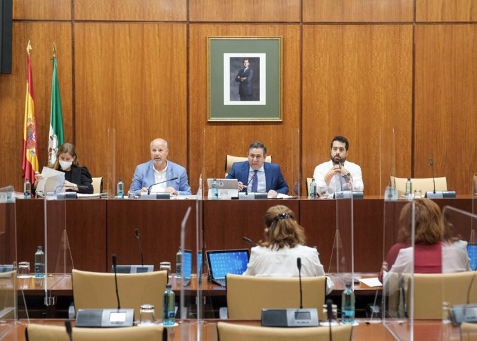 Imagen general de este miércoles de la Comisión de Educación del Parlamento de Andalucía.