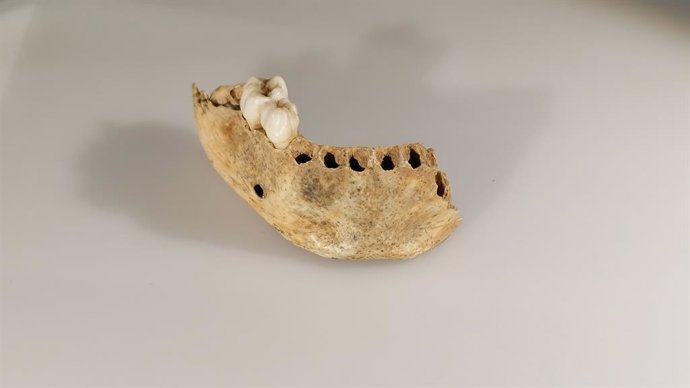 Mandíbula infantil de la cueva de El Castillo