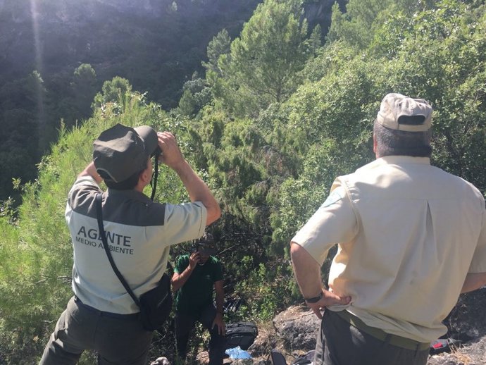 Jaén.- La Junta impulsa un plan especial de control para detectar artes prohibid